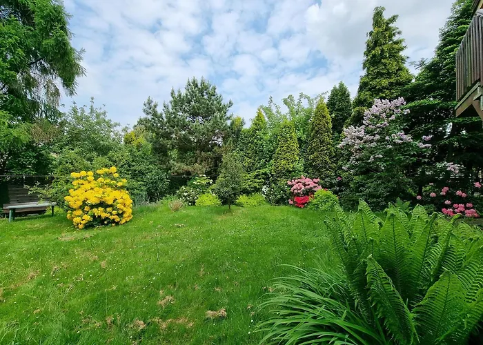 Orzeszkowa פז'יז'וביצה