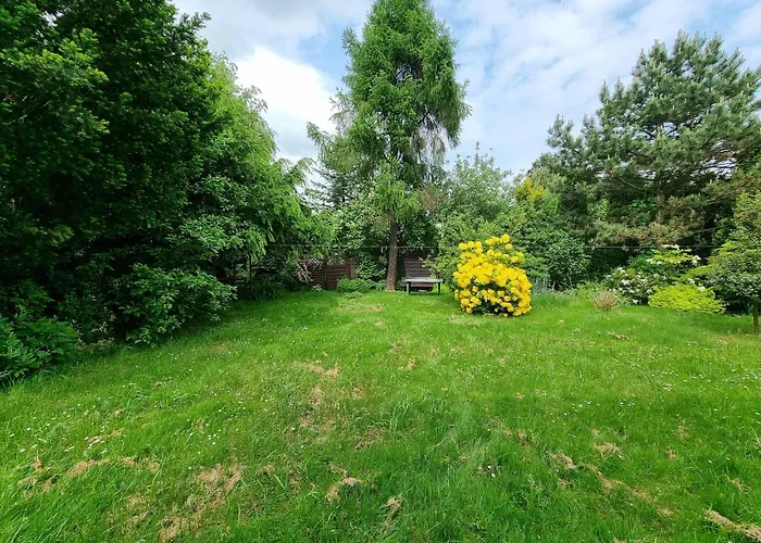 Orzeszkowa * פז'יז'וביצה